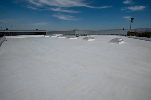 Best Gutter Installation and Repair  in Lake Mary, FL
